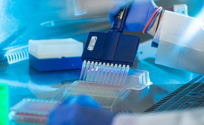 Detail of samples in a pipette used in a biosafety cabinet