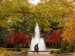 Herty Fountain with fall color.