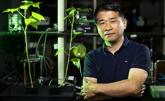 Liang Dong portrait