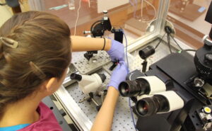 Student working at microscope