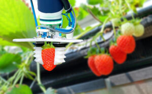 ag systems - strawberry picker