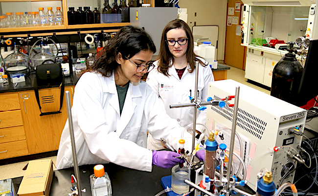 Elizabeth Brisbois, an assistant professor in the UGA College of Engineering, works with Ph.D student Aasma Sapkota in Brisbois' Biomaterial Interfaces and Therapeutics Lab.
