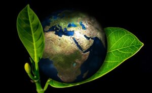 illustration of earth set in a leaf