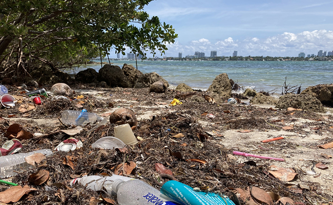Beach covered in trash