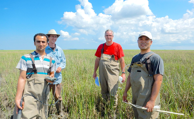 S. Sonny Kim (far right), an associate professor in the UGA College of Engineering, and his colleagues sample salt marsh soils at Tybee Island in 2018.