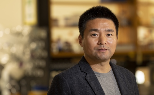 portrait of Yajun Yan